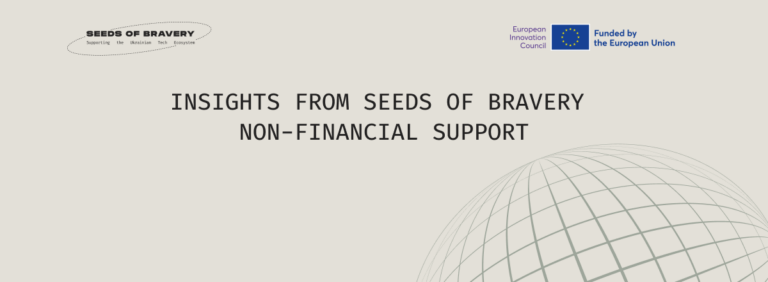 Insights from Seeds of Bravery non-financial support - Seeds Of Bravery