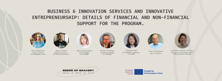 Business & Innovation Services and Innovative Entrepreneurship: details of financial and non-financial support for the program. - Seeds Of Bravery