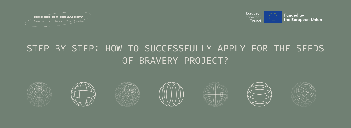 Step by step: how to successfully apply for the Seeds of Bravery project?  - Seeds Of Bravery